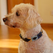 Load image into Gallery viewer, Polo Dog Collar - Navy/pale blue/beige