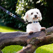 Load image into Gallery viewer, Polo Dog Lead - Navy/pale blue/beige