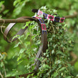 Load image into Gallery viewer, Polo Dog Lead - Purple/berry/white stripe