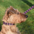 Load image into Gallery viewer, Polo Dog Lead - double stripe - Navy/berry