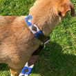 Load image into Gallery viewer, Polo Dog Lead - Royal blue/silver grey/navy stripe
