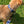Load image into Gallery viewer, Polo Dog Lead - Royal blue/silver grey/navy stripe
