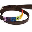 Load image into Gallery viewer, Polo Dog Lead - Rainbow