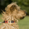 Load image into Gallery viewer, Polo Dog Collar - Navy/cream/red