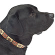 Load image into Gallery viewer, Polo Dog Collar - Copper/beige/green stripe