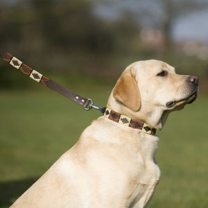Polo Dog Collar - Copper/beige/green stripe
