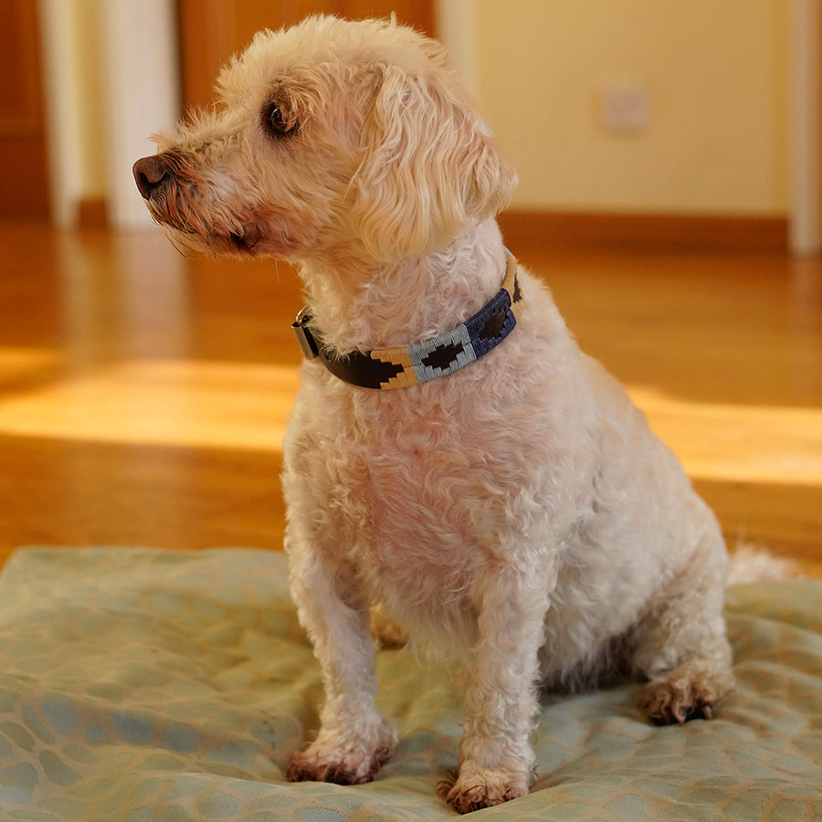 Polo Dog Collar - Navy/pale blue/beige