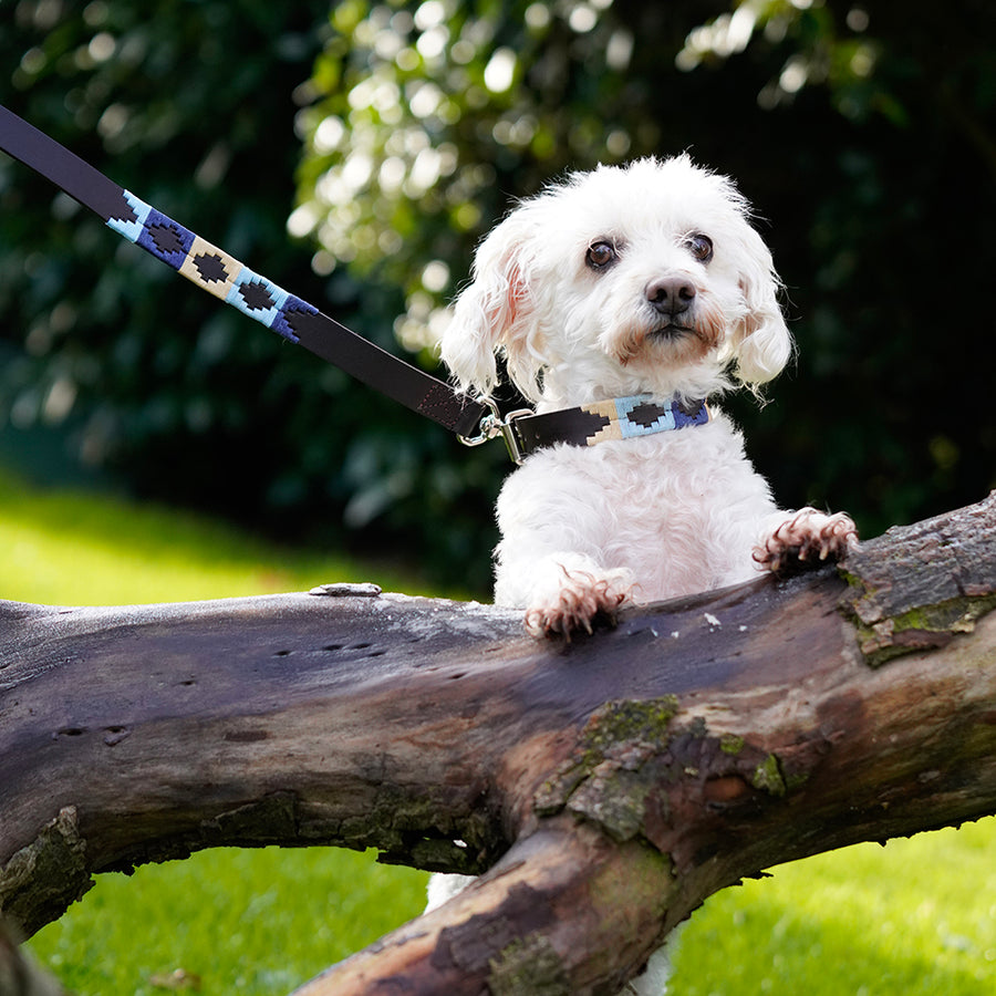 Polo Dog Lead - Navy/pale blue/beige