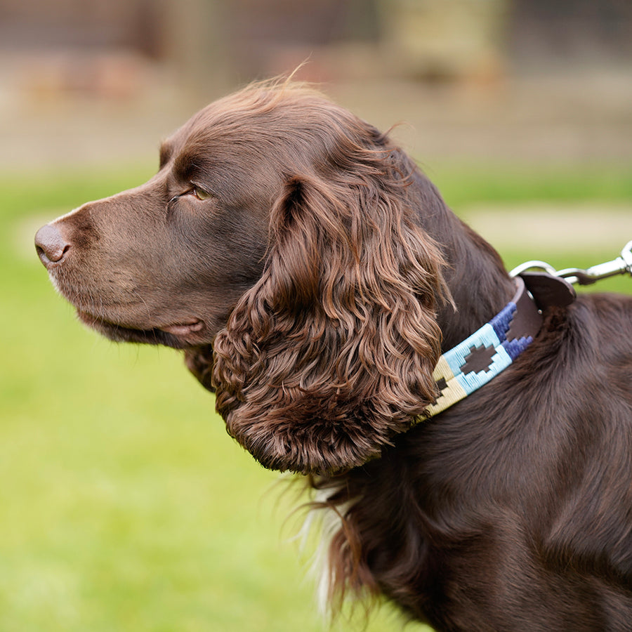 Polo Dog Collar - Navy/pale blue/beige