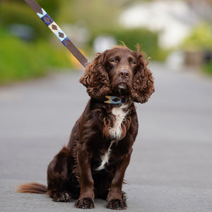 Polo Dog Lead - Navy/pale blue/beige