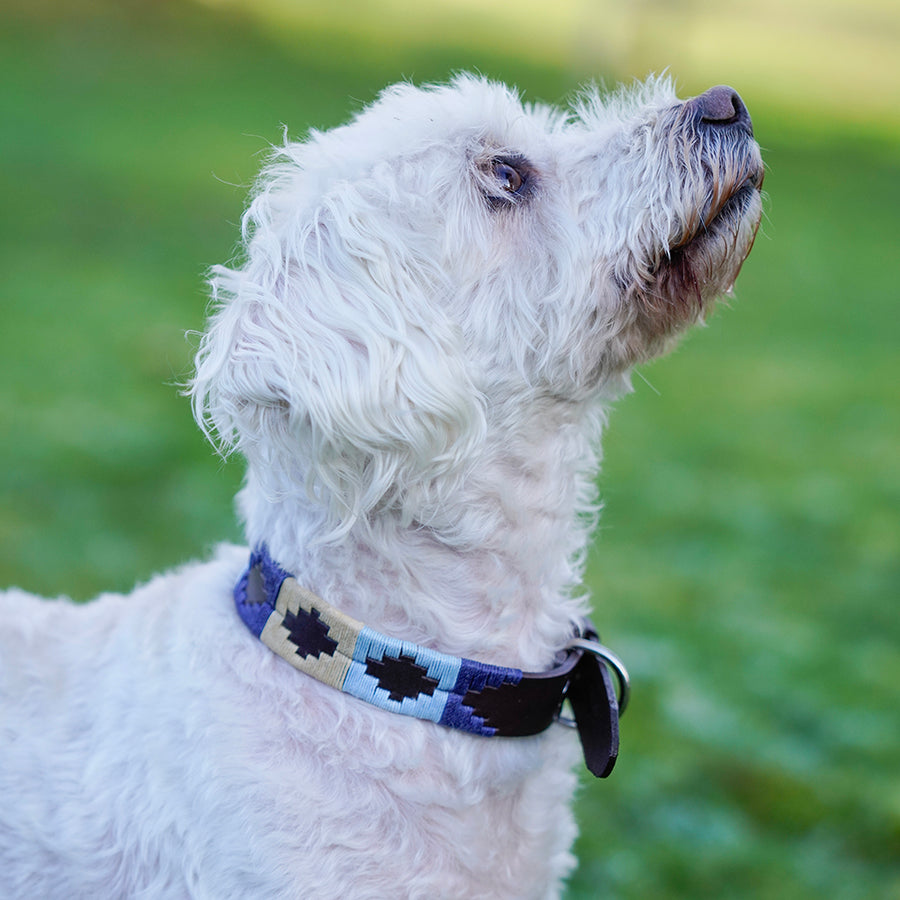 Polo Dog Collar - Navy/pale blue/beige