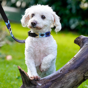 Polo Dog Lead - Navy/pale blue/beige