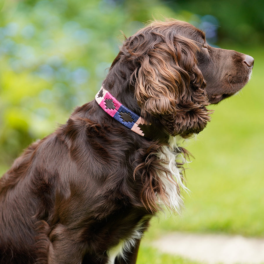 Polo Dog Collar - Berry/navy/pink