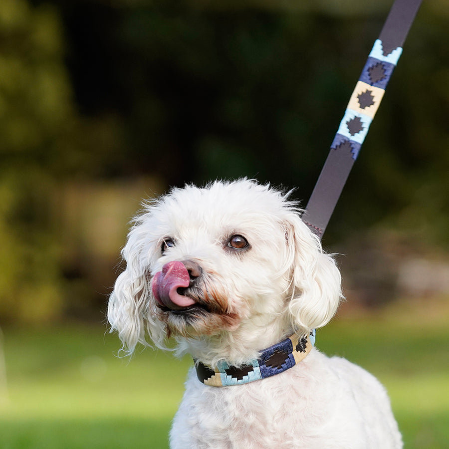 Polo Dog Lead - Navy/pale blue/beige