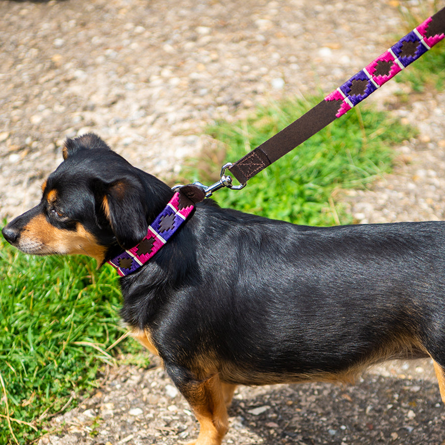 Polo Dog Lead - Purple/berry/white stripe