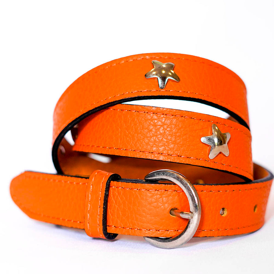 Star Belt - Orange