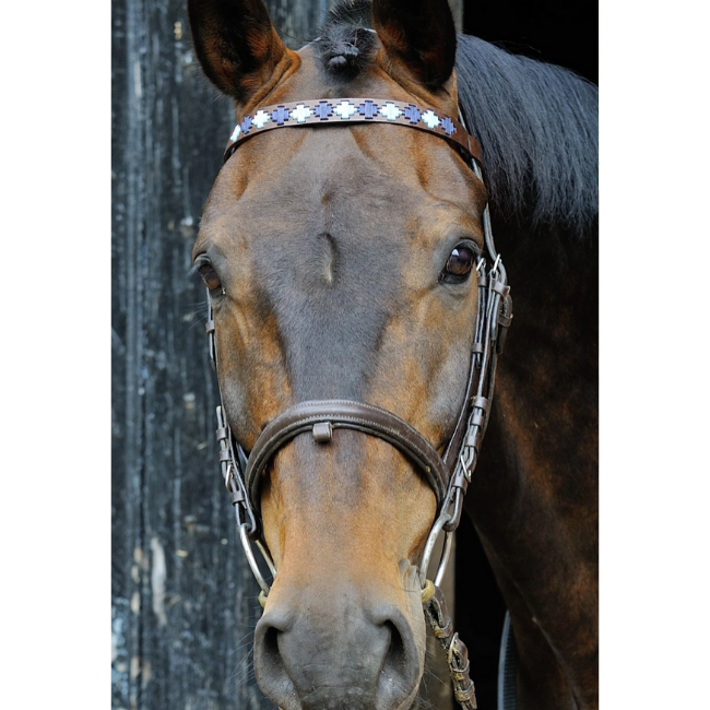 Brown Leather Browband - Pale blue/navy