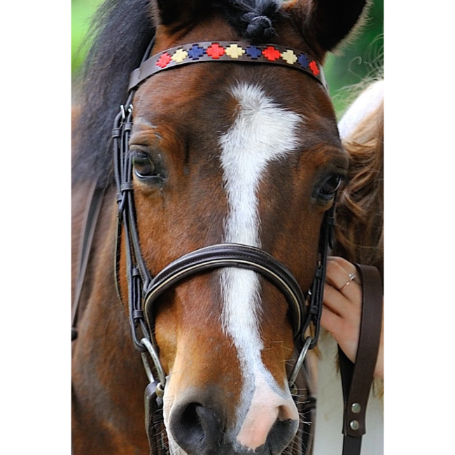 Brown Leather Browband - Red/navy/cream