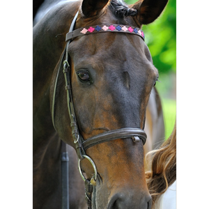 Brown Leather Browband - Berry/navy/pink