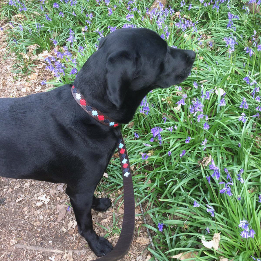 Polo Dog Collar - Pampa cross - Navy/pale blue/red