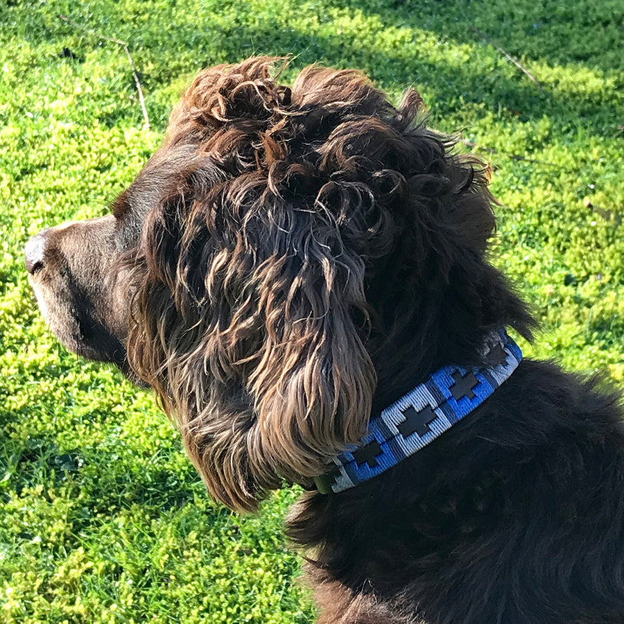 Polo Dog Collar - Royal blue/silver grey/navy stripe