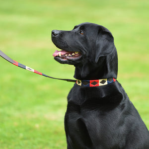 Polo Dog Lead - Navy/cream/red