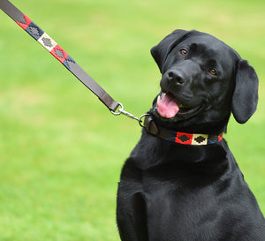 Polo Dog Lead - Navy/cream/red