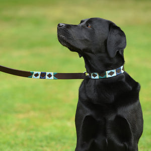 Polo Dog Lead - Green/pale blue/navy/cream stripe