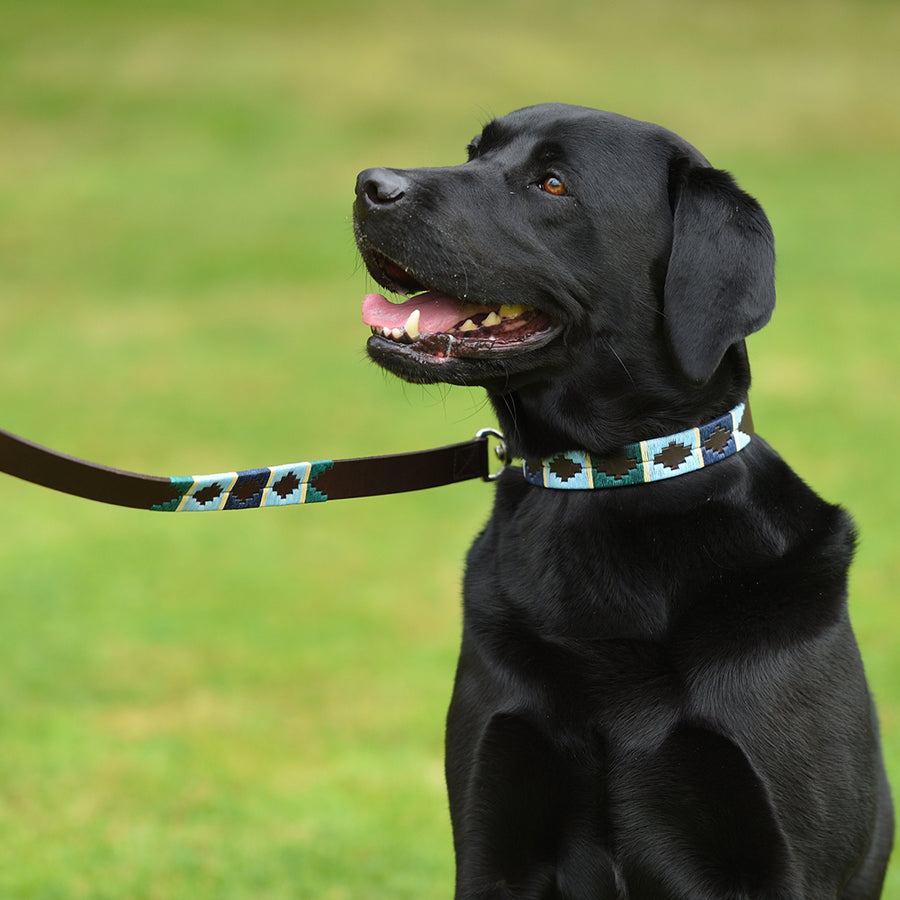 Polo Dog Lead - Green/pale blue/navy/cream stripe