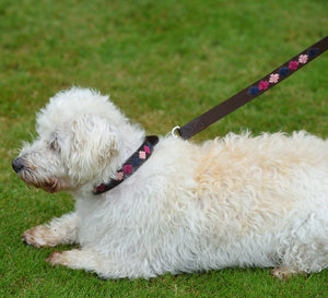 Polo Dog Lead - Pampa cross - Berry/navy/pink