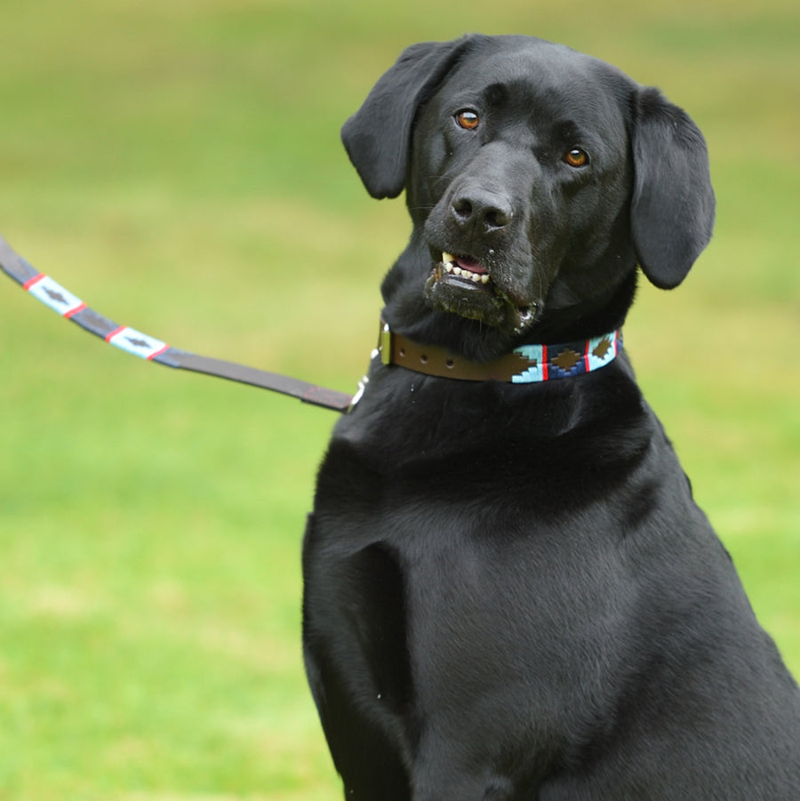 Polo Dog Lead - Navy/pale blue/red stripe