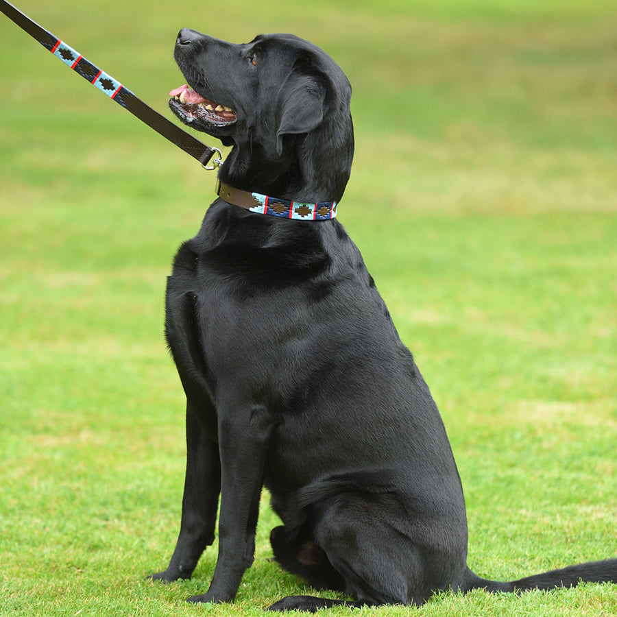 Polo Dog Collar - Navy/pale blue/red stripe