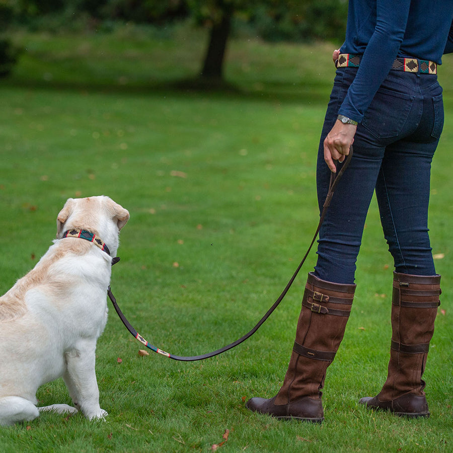 Polo Dog Lead - Red stripe