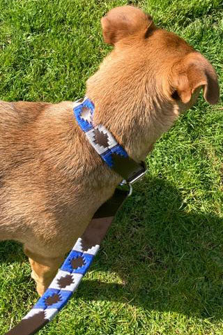 Polo Dog Lead - Royal blue/silver grey/navy stripe