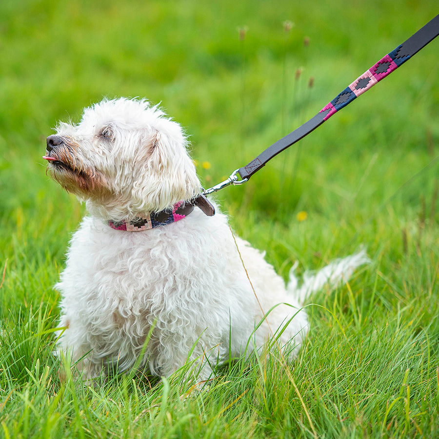 Polo Dog Lead - Berry/navy/pink