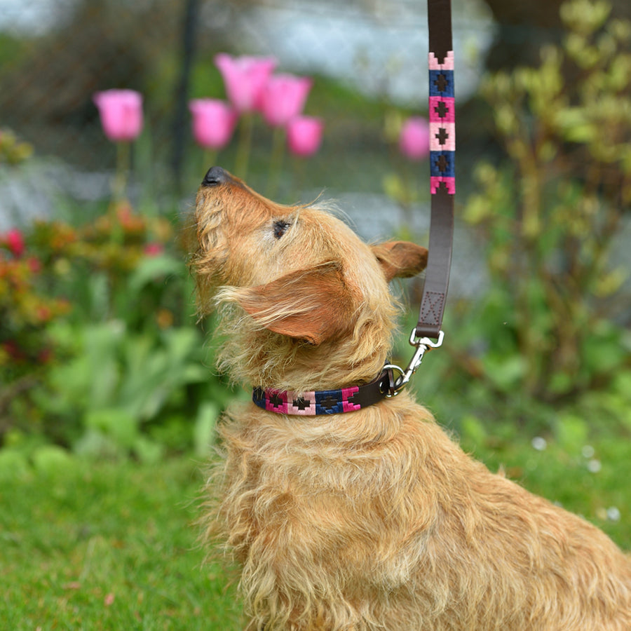 Polo Dog Lead - Berry/navy/pink