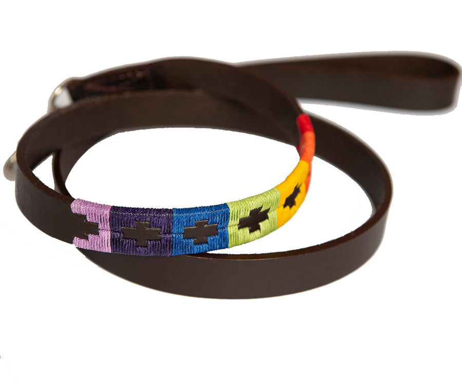 Polo Dog Lead - Rainbow