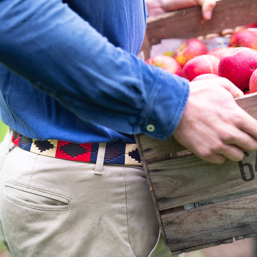 Polo belt - Navy/cream/red