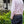 Load image into Gallery viewer, Polo Belt - Silver grey double stripe
