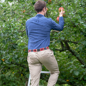 Polo belt - Red/navy/cream stripe