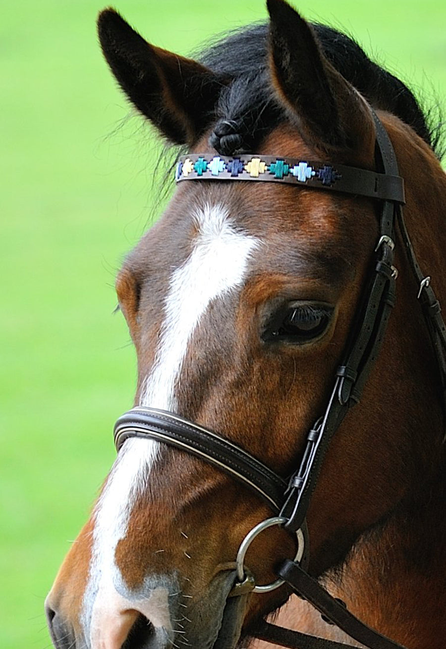 Brown Leather Browband - Green/pale blue/navy/cream