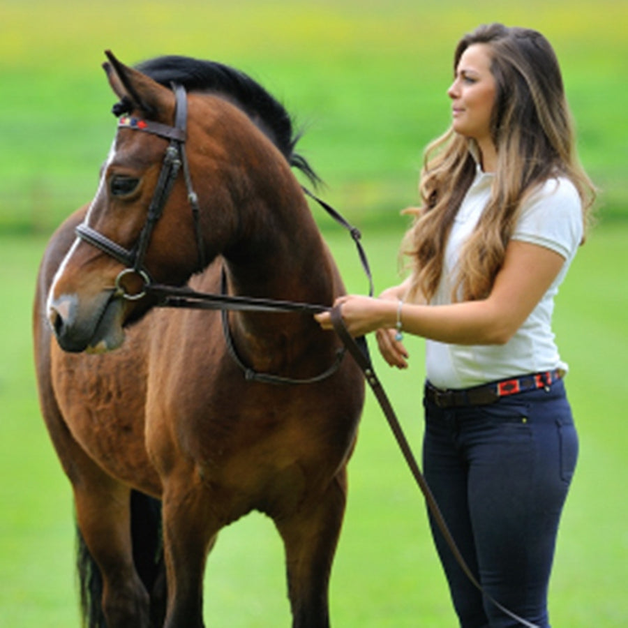 Brown Leather Browband - Red/navy/cream