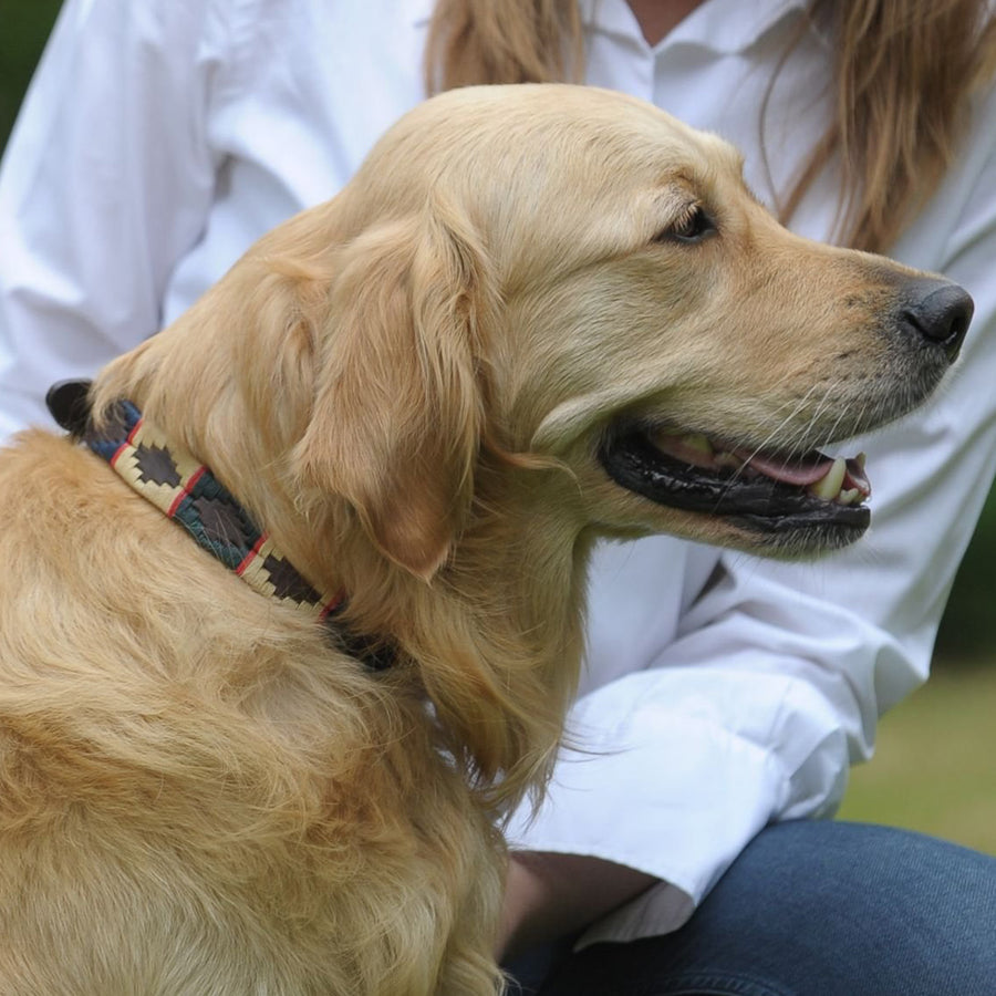 Polo Dog Collar - Red stripe