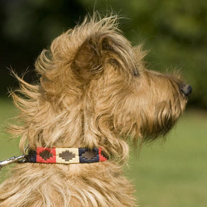 Polo Dog Collar - Navy/cream/red