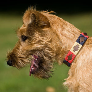 Polo Dog Collar - Navy/cream/red