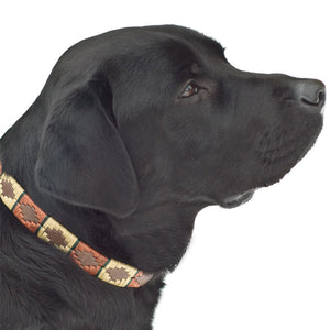 Polo Dog Collar - Copper/beige/green stripe