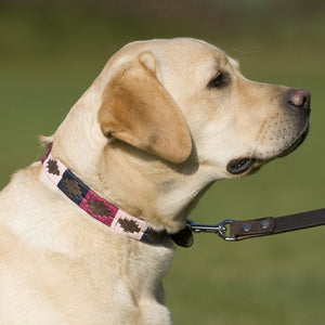 Polo Dog Collar - Berry/navy/pink
