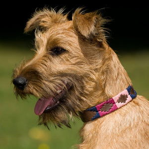 Polo Dog Collar - Berry/navy/pink