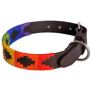 Polo Dog Collar - Rainbow