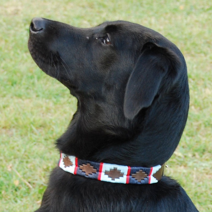 Polo Dog Collar - Navy/pale blue/red stripe